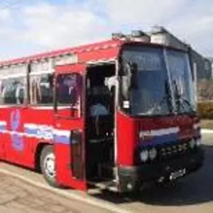 Автобус Ikarus-256 в хорошем состоянии