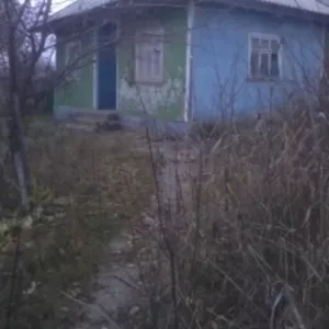 Срочно продам дом 7 км от Бельц цена 3500 евра с.Новые Асношаны