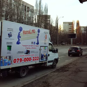 Servicii Transport