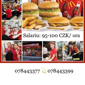 McDonalds Praga,  Mlada Boleslav,  Karlovy Vary,  Plzen 1000-1800euro
