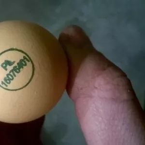 Яйца инкубационные с Европы всех пород