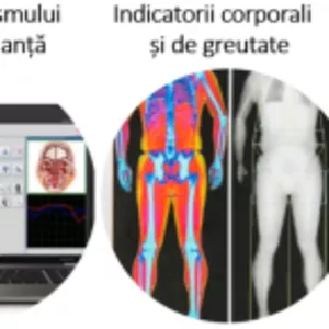 Testare nutrițională și fiziologică online