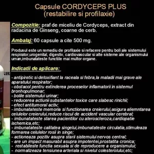 Capsule Cordiceps Adulti