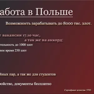 Работники склада,  комплектация заказов (официальное трудоустройство) 