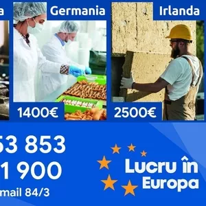 Contracte de munca Gratuite / Ultimele plecari din 2021