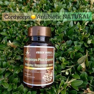 Cordiceps Antibiotic natural