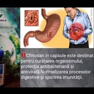 Chitosan Capsule     