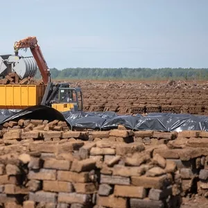 Нужно 9 человек для работы при добыче торфа. Латвия