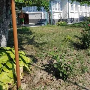 Продам дом в Окнице с. Липник