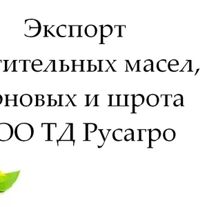 Экспорт растительных масел,  зерновых и шрота от ТД Русагро в Молдове