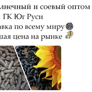 Шрот подсолнечный и соевый оптом в Молдове от ГК Юг Руси